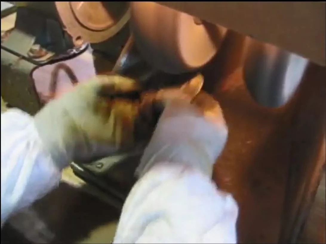 Polishing