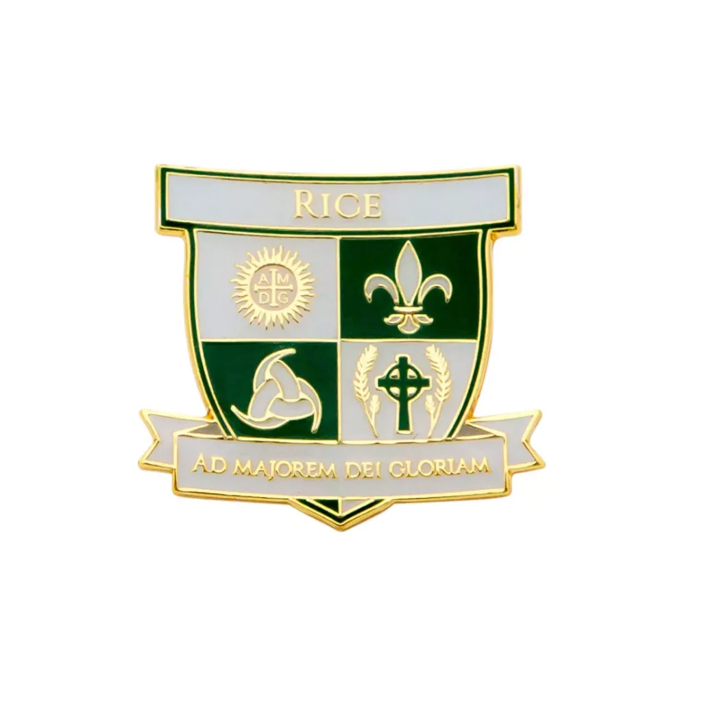 award of execellence badge pin