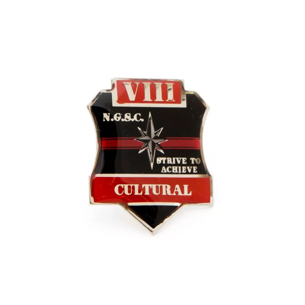 school cultural award badge